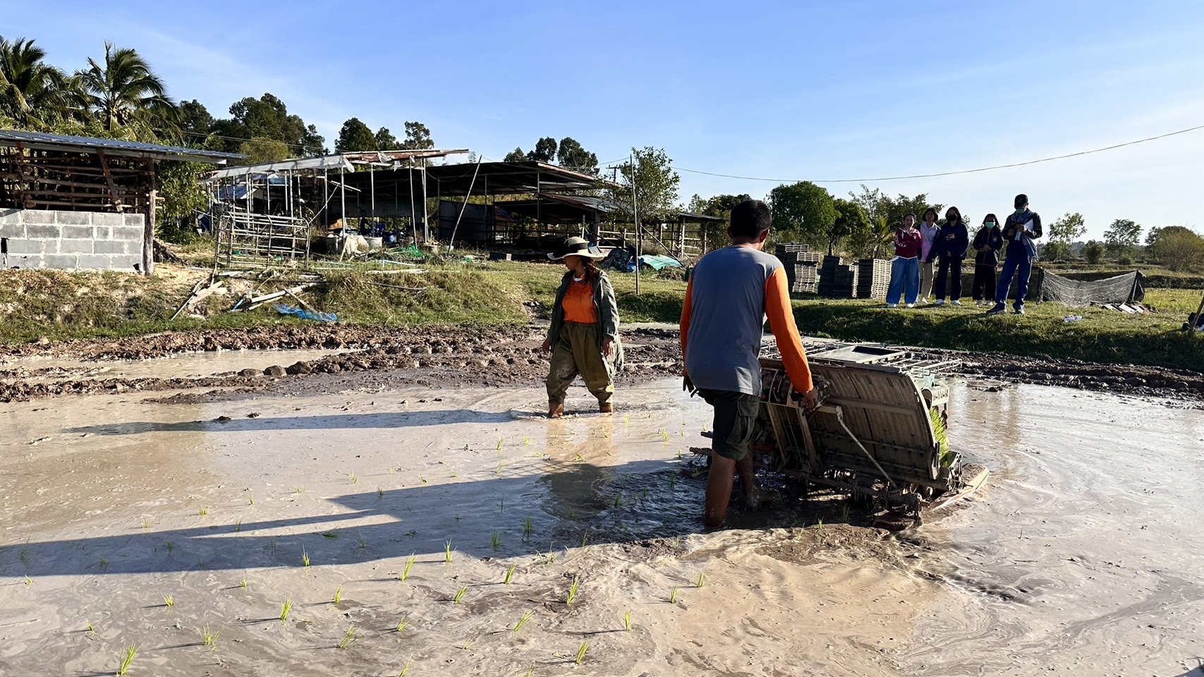 วันที่ 19 - 20 ม.ค. 66 อบรมเชิงปฏิบัติการการปลูกข้าว 1 ไร่ 1 ตัน