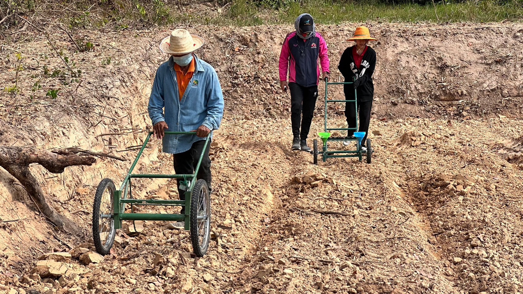 วันที่ 2 ? 3 กุมภาพันธ์ 2566 ลงพื้นที่ลงแปลงปลูกงาดำ