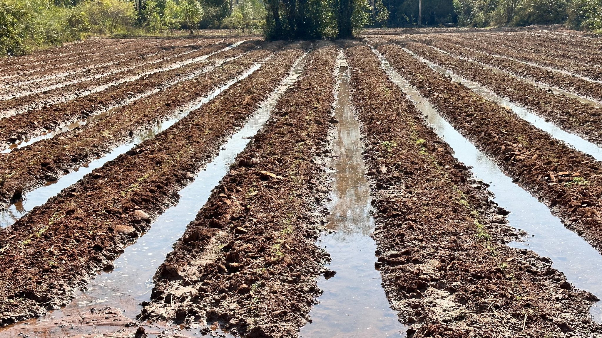 วันที่ 9 กุมภาพันธ์ 2566 ลงพื้นที่กำกับติดตามการดำเนินงาน ตำบลขามเปี้ย อำเภอตระการพืชผล และตำบลท่าเมือง อำเภอดอนมดแดง จังหวัดอุบลราชธานี