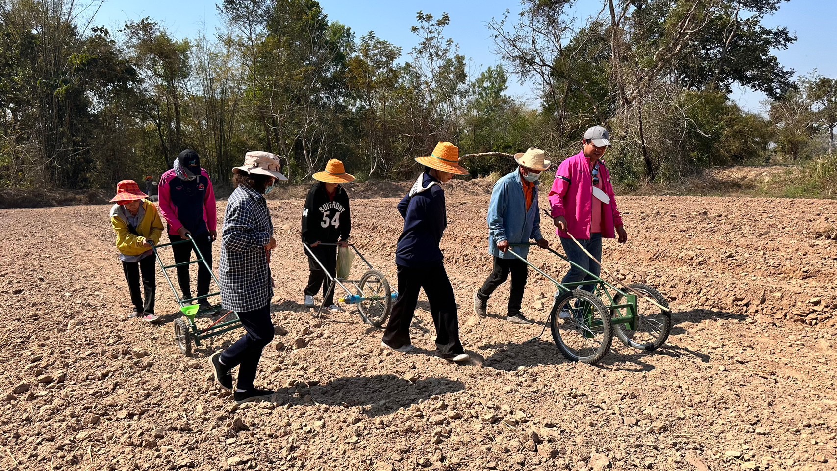 วันที่ 2 ? 3 กุมภาพันธ์ 2566 ลงพื้นที่ลงแปลงปลูกงาดำ